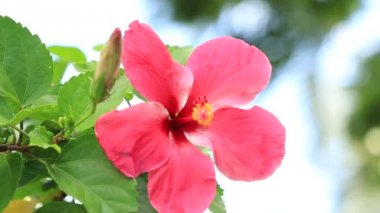 güneş üzerinde göl .