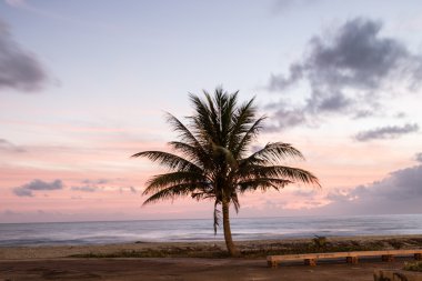 Güzel gün doğumu.