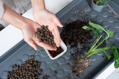 Genç bir kadın bir saksıya genişleyen kilden bir saksı koyar.