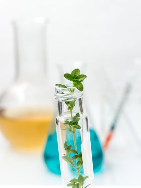 Kimya donanımları, Laboratuar kapkacakları renkli sıvı ile bir