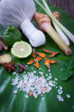 Bitkisel sıkıştırmak için Tay Masaj ve spa tedavi popüler topu 