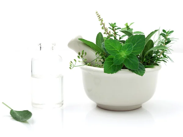 Cuidado alternativo de la salud fresco a base de hierbas y botella de aromaterapia — Foto de Stock