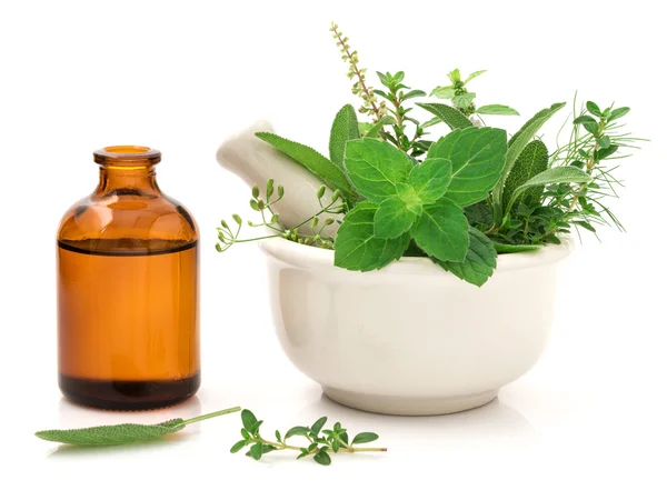Cuidado alternativo de la salud fresco a base de hierbas y botella de aromaterapia — Foto de Stock
