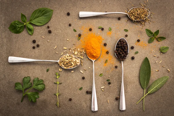 Herbs and spices selection in old metal spoons on tile dark vint — Stock Photo, Image
