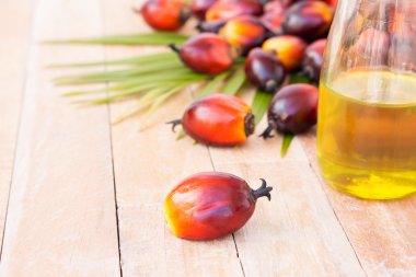 Ticari palmiye yağı işleme. Hurma yağı daha içerdiğinden 