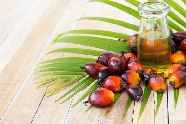 Coltivazione di olio di palma commerciale. Poiché l'olio di palma contiene più — Foto Stock