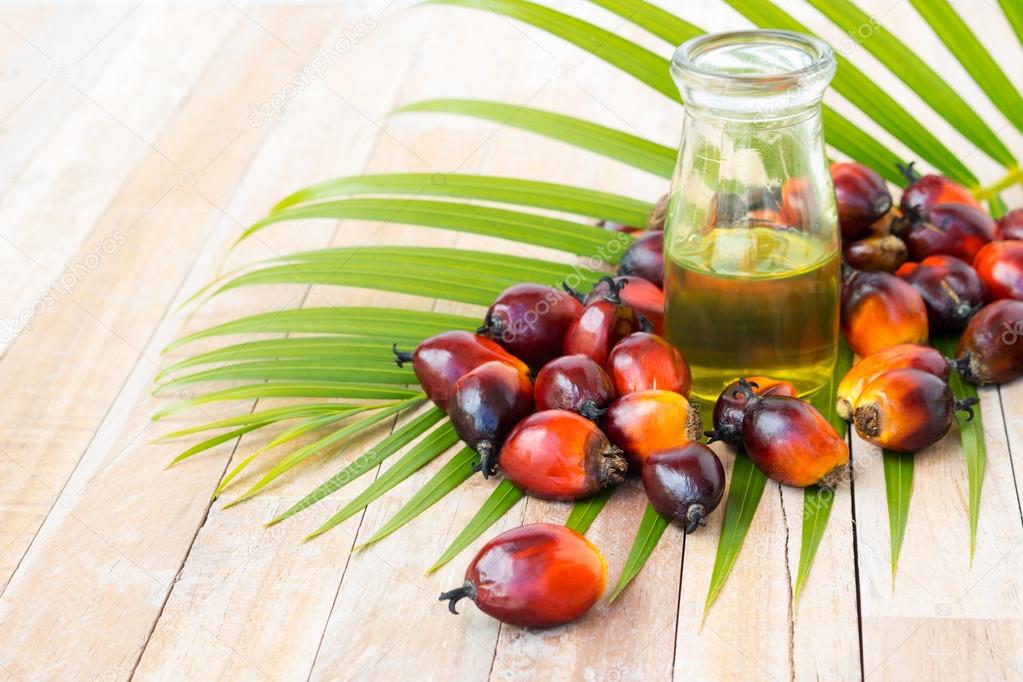 Commercial palm oil cultivation. Since palm oil contains more 