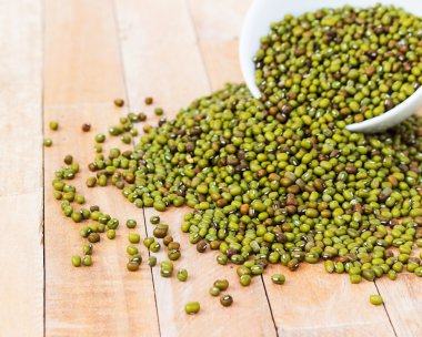 Mung fasulye (Iran), İran'nerede Evcil onun proge