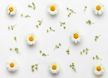 Beyaz arka plan üzerinde beyaz çiçek deseni. Düz yatıyordu.