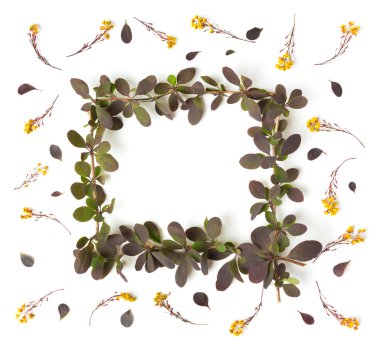 sarı çiçek ve yaprakları desen beyaz arka plan üzerinde. Düz yatıyordu.