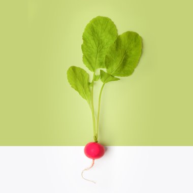 Beyaz arkaplanda taze turp izole edildi.