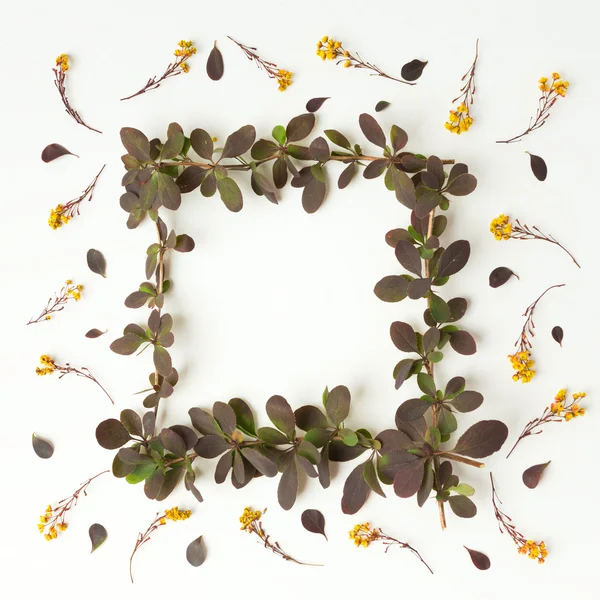 sarı çiçek ve yaprakları desen beyaz arka plan üzerinde. Düz yatıyordu.