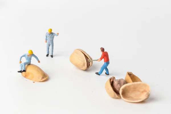O conceito de uma solução coletiva para qualquer problema. Trabalhadores de brinquedo em miniatura batem a porca de pistache. Vista de perto . — Fotografia de Stock