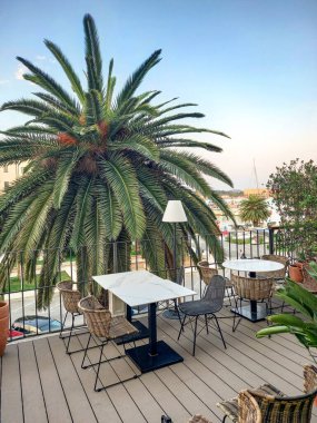 Güzel bir restoran ve Split 'te bir palmiye ağacı