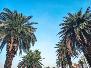 Hırvatistan 'da Ayrılma Güzelliği 