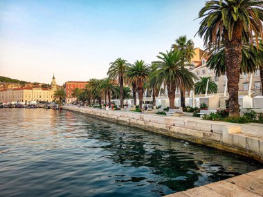 Split güzel bir Adriyatik şehridir.