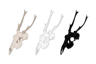 Geyik kafatası üç varyasyon - renk, dış hat, tek renk