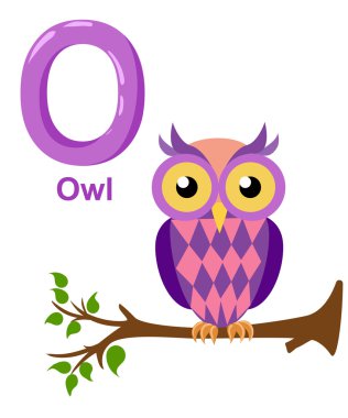 Çocuklar için alfabe. Beyaz O baykuş izole karikatür hayvanlar ile Sevimli vektör hayvanat bahçesi alfabesi