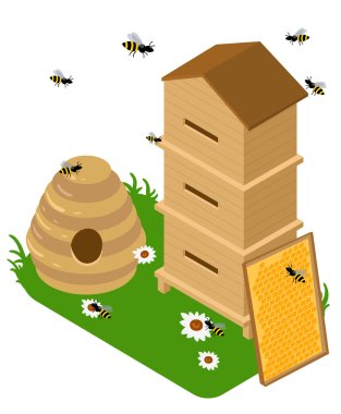 Isometric apiary set. Apiary vector illustration Honey bank vector illustrations Bee, honey, honey bank, honeycomb.