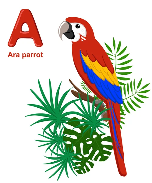 Alfabeto para niños. Lindo alfabeto del zoológico vector con animales de dibujos animados aislados en blanco Un loro ara — Archivo Imágenes Vectoriales