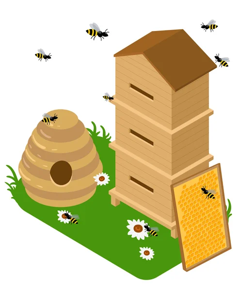 Isometric apiary set. Apiary vector illustration Honey bank vector illustrations Bee, honey, honey bank, honeycomb. — Stockový vektor