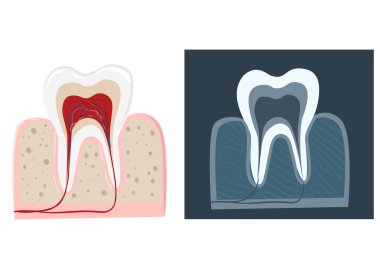 Diş Bakımı düz Dekoratif simgeler stomatologist araçları diş bakım ürünleri izole vektör çizim çürük klinik protez diş hijyen dişçi araçları ile Stomatologist ayarla.
