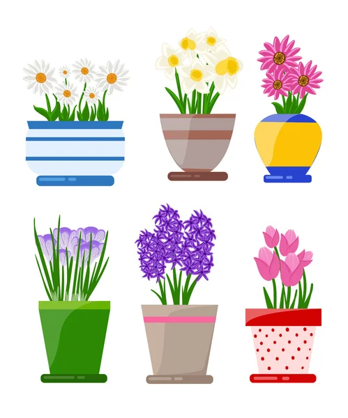 Illustratie van houseplants.succulents huis bloemen, kamerplant in pot. Set kamerplant. geïsoleerd op wit — Stockvector