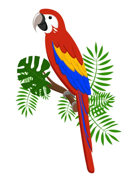 Illustrazione del vettore del fumetto dei pappagalli. Set pappagalli Uccelli esotici — Vettoriale Stock