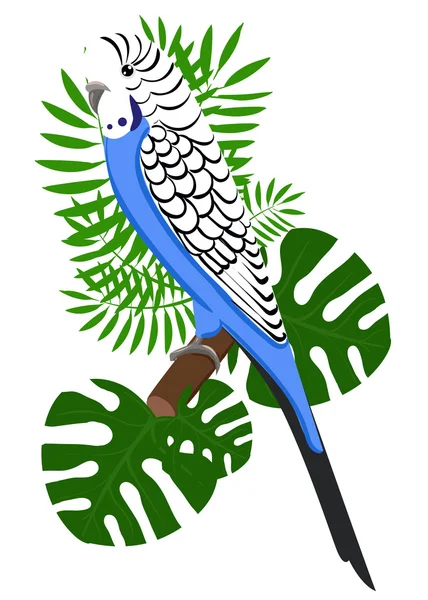 Papageien Cartoon Vektor Illustration. Papagei setzt exotische Vögel — Stockvektor