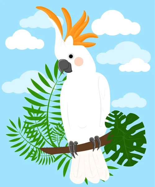 Papegaaien Cartoon vectorillustratie. Papegaai instellen siervogels — Stockvector