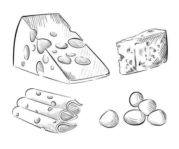 Des fromages. Délicieuse variété fraîche faisant divers ensemble de croquis mozzarella — Image vectorielle