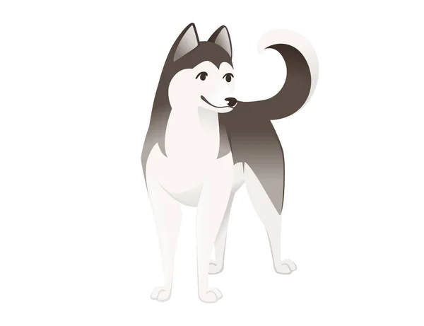 Niedlicher Häuslicher Hund Siberian Husky Reinrassig Cartoon Animal Design Flache — Stockvektor