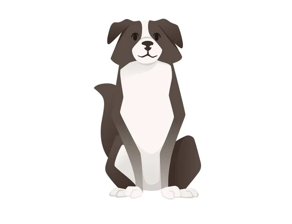 Lindo Perro Doméstico Frontera Collie Dibujos Animados Animal Diseño Plana — Vector de stock