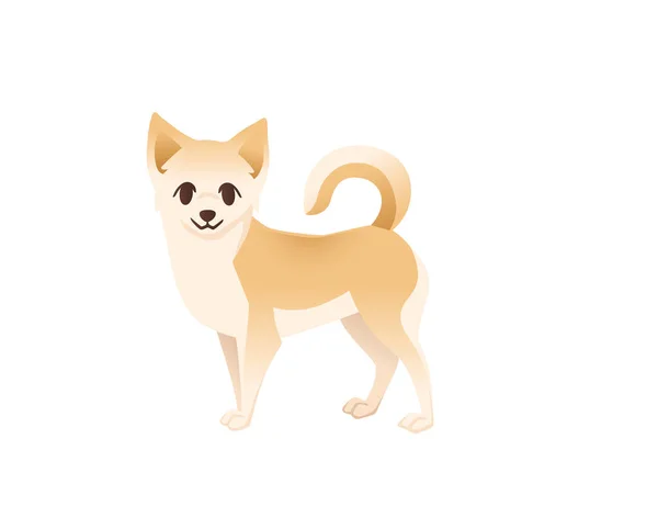 Мила Домашня Собака Чихуахуа Мультфільм Дизайн Тварин Плоский Векторні Ілюстрації — стоковий вектор
