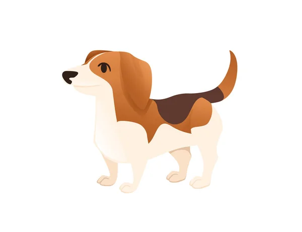 Sevimli Evcil Köpek Beagle Çizgi Film Hayvan Tasarımı Düz Vektör — Stok Vektör