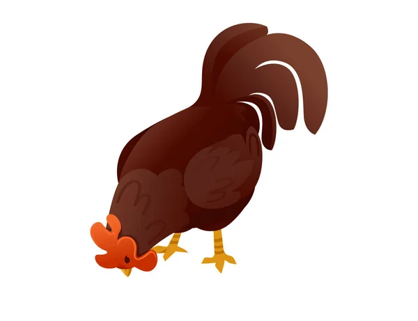 Cute Brown Cock Farm Agriculture Hen Rooster Cartoon Animal Design — Stock Vector