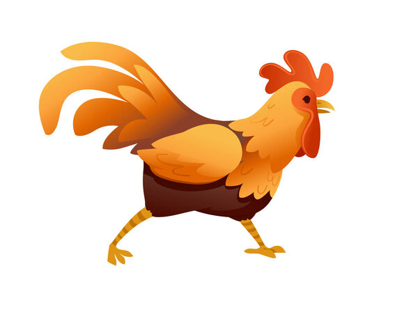 Cute cock farm agriculture hen rooster cartoon animal design flat vector illustration.