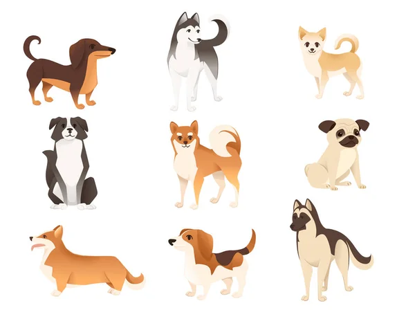 一套可爱的家犬卡通人物动物设计平面图 — 图库矢量图片