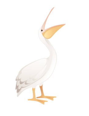 Pelikan cinsi büyük su kuşu çizgi film hayvan tasarımı büyük beyaz kuş turuncu gagalı düz vektör çizimi beyaz arka planda izole.