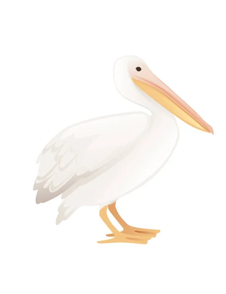 ペリカン属大型水鳥の漫画動物のデザインオレンジくちばしフラットベクトルイラスト白の背景に隔離された大きな白い鳥 — ストックベクタ