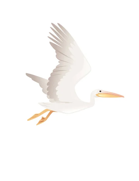 Pélican Genre Grand Oiseau Eau Dessin Animé Animal Design Grand — Image vectorielle