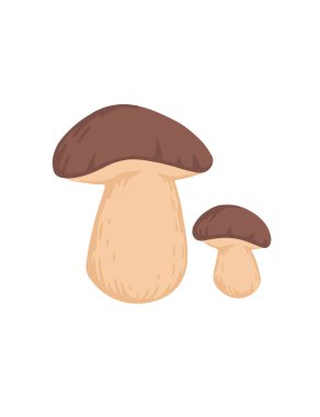 Porcini mantar grubu taze yenilebilir organik mantar vejetaryen bitki düz vektör çizimi beyaz arka planda izole.