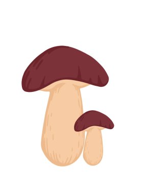 Bir grup Suillus mantarı taze yenilebilir organik mantar vejetaryen bitki düz vektör çizimi beyaz arka planda izole edildi.