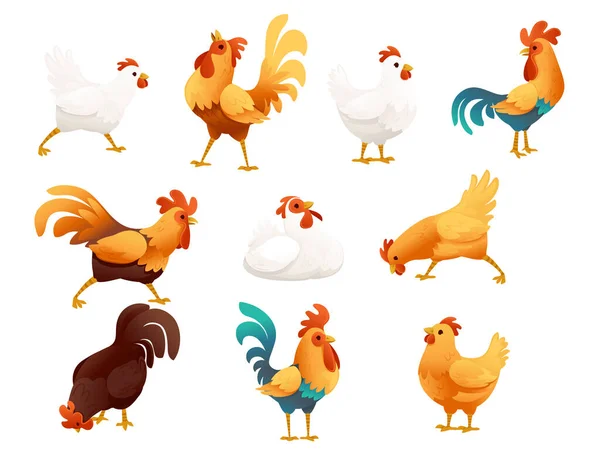 Set Adorable Cock Animal Farm Agriculture Hen Rooster Cartoon Animal — Stock Vector