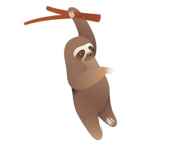 Beyaz arka planda hayvan tasarımı vektör illüstrasyonunda asılı duran tembel hayvan.