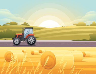 Şehir traktörüne giden yol, kırsal çayırlarda buğday tarlasıyla yol alıyor. Güneşli bir günde gökyüzü vektör çizimi açık.