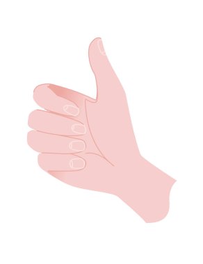 Beyaz arkaplanda izole edilmiş düz vektör illüstrasyonunun insan eli tutuş hareketleri