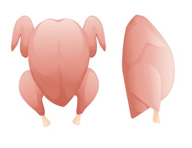 Beyaz arka planda izole edilmiş vektör çizimine hazır taze çiğ tavuk.