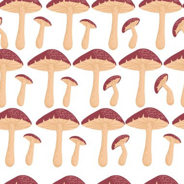 Kırmızı noktalı zehirli mantarlar, sarı ve yeşil yapraklı ormanlarda büyür.