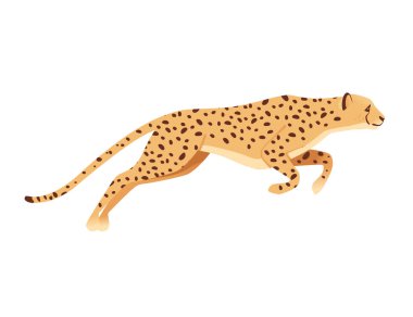 Çita büyük vahşi kedi afrika savanı yırtıcı hayvan çizgi film karakteri çizimi beyaz arka planda çizim